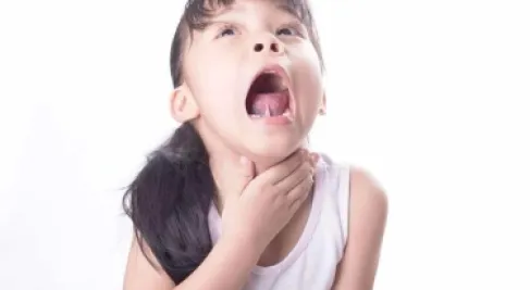 صاحب الشموسة : صوبتنا محترمة وأوقفنا بيعها