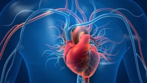 فحص للسرطان يكشف مخاطر الإصابة بأمراض القلب لاحقاً