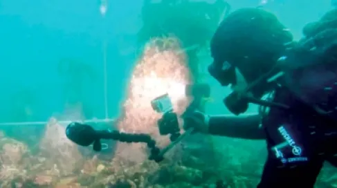 جدار حجري عمره 7000 عام تحت الماء في فرنسا