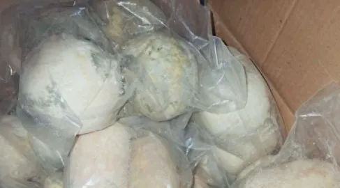 الأردن.. الغذاء والدواء تغلق مستودع جميد غير مرخص بعمّان