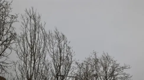 زخات مطرية ممزوجة بالثلوج فوق الجبال الجنوبية العالية صباح الأربعاء