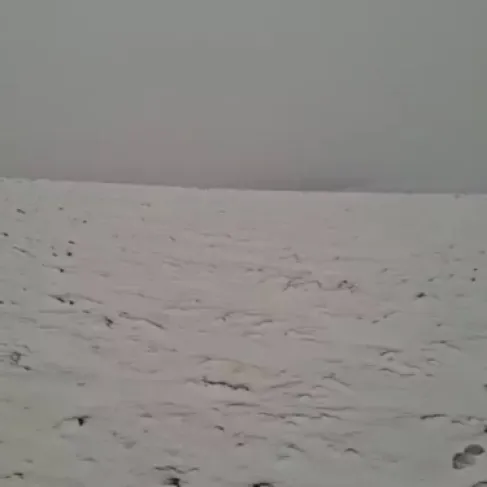 الأردن.. تساقط زخات ثلجية على بعض المرتفعات الجنوبية