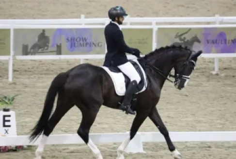 الإمارات تستضيف 5 بطولات دولية للترويض