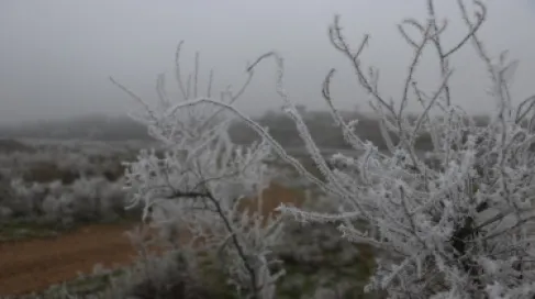 الأرصاد الجوية تحذر من تشكل الصقيع والانجماد الليلة وصباح الخميس