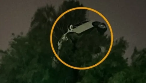 سيارة تطير وتستقر فوق شجرة.. حقيقة حادث غريب يثير الجدل في الكويت