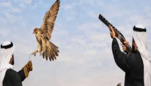 تعميم من الكويت بخصوص هواة القنص في العراق