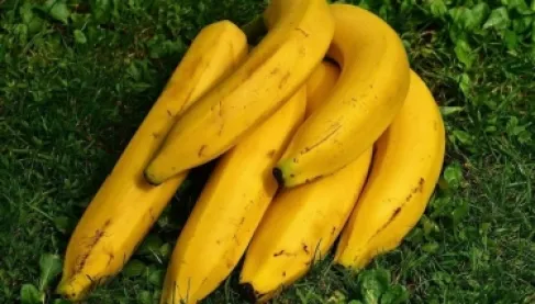 طبيب يحذر.. 3 أنواع من أدوية الضغط يُمنع معها تناول الموز