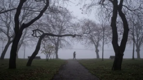 الأردن.. طقس بارد وتحذيرات من الضباب والصقيع خلال الأيام المقبلة