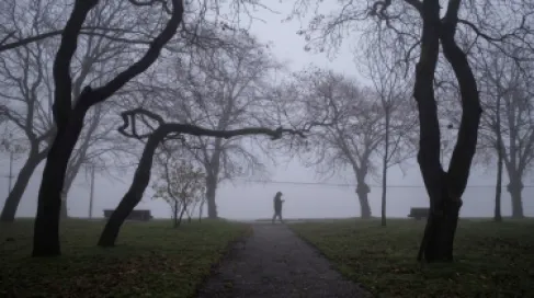 The Meteorological Department: Cold weather and warnings of fog and frost in the coming days