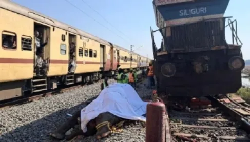 نفوق 7 أفيال دهسها قطار فائق السرعة في الهند