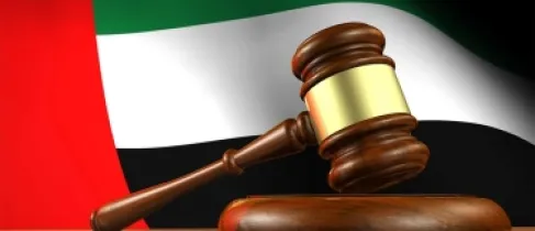 الامارات : إلزام 5 متهمين انتحلوا صفة «الشرطة» برد 600 ألف درهم إلى ضحية سرقة