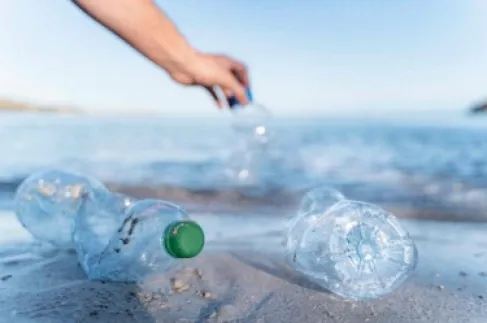 كيف تؤثر الجسيمات البلاستيكية النانوية على صحة الجهاز الهضمي؟