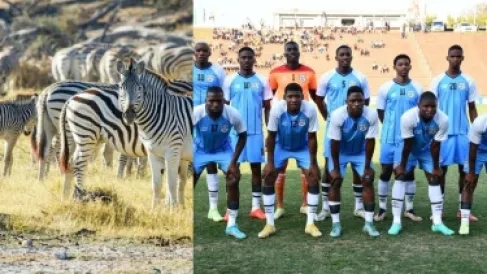 لماذا يُكنى منتخب بوتسوانا بـ