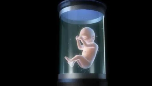 Artificial womb reveals secrets of life in its early days