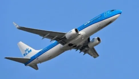 فضيحة الطائرة الموبوءة.. ركاب يقاضون شركة طيران عالمية بسبب حشرات المقاعد