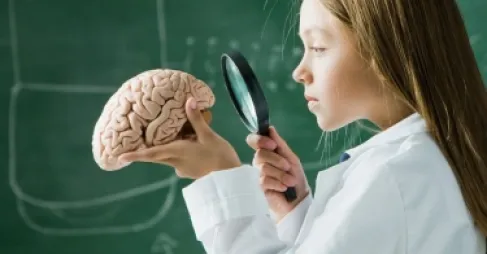 دراسة جديدة : الدماغ يبقى في مرحلة المراهقة حتى أوائل الثلاثينيات