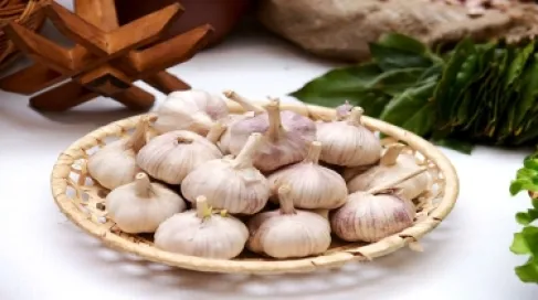 هل يصبح الثوم بديلًا لغسول الفم؟