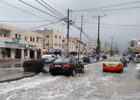 زراعة اربد: الهطولات المطرية مبشرة