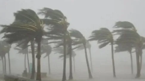 الأردن: سرعة الرياح تصل 100 كم/ساعة.. آخر تطورات المنخفض الجوي