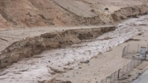 بلدية الكرك للمواطنين: لا تخرجوا إلا للضرورة القصوى