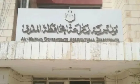 Mafraq Agriculture: Recent Rains Boost Hopes for a Good Season