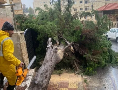 أمانة عمان: 4600 من كوادرنا تعاملت مع 235 ملاحظة خلال المنخفض