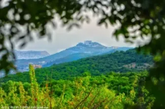 عجلون - ارشيف