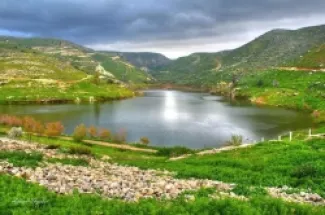 سد زقلاب ( شرحبيل بن حسنة ) - ارشيف