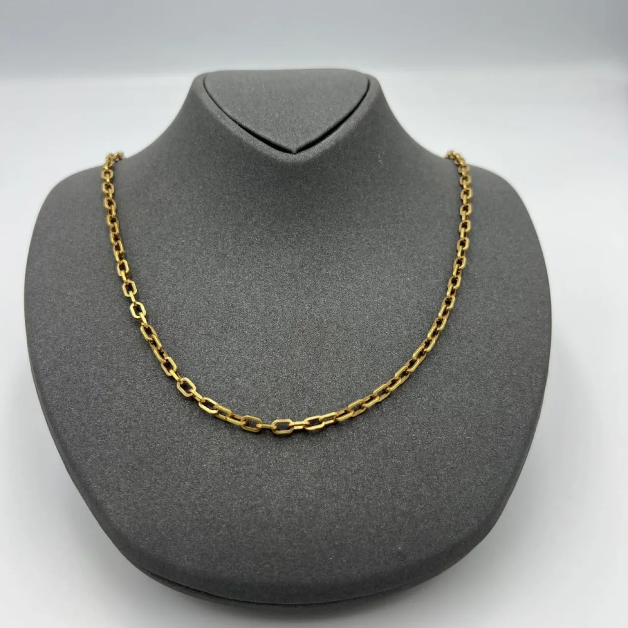 10 غطاسين يبحثون عن سلسال ذهب في العقبة.. ما القصة؟ 