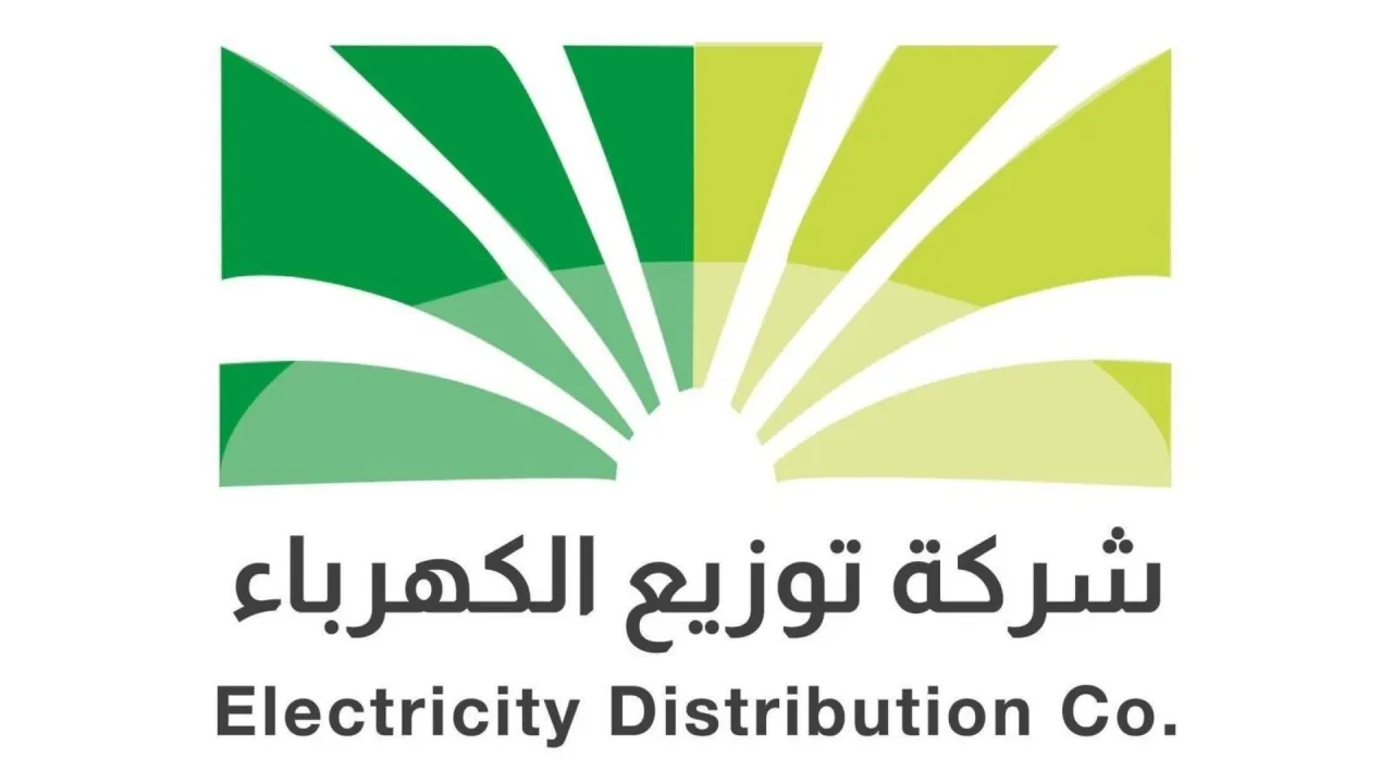 عاجل - الاردن .. "توزيع الكهرباء" تجري فحوصات فنية لضمان جودة التيار الكهربائي 