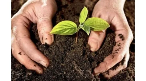 مليار دولار القيمة الإجمالية لإنتاج قطاع صناعة الأسمدة في الأردن