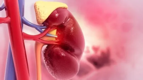 4 أمور انتبه لها للحفاظ على صحة المسالك البولية