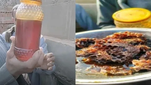 مقبرة (مسكونة بالعسل).. 13 خلية نحل تمنع دفن جثمان وتثير ضجة في مصر