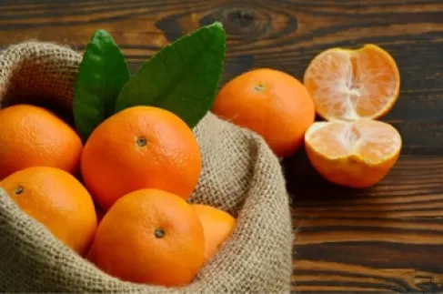 لماذا يجب أن تكون (الكلمنتينا) جزءاً من نظامك الشتوي؟