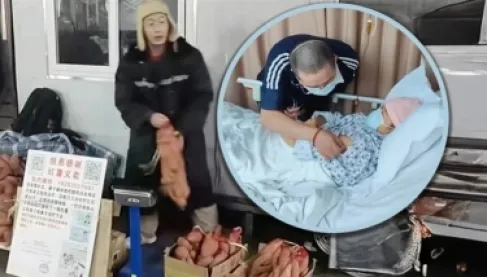 أغرب تبرع في التاريخ.. 50 طناً من البطاطا لعلاج مريضة سرطان