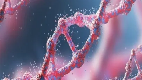 شيفرة المعمرين .. الحمض النووي القديم يفك لغز العيش لأكثر من 100 عام