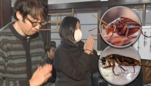 أغرب مراسم تأبين.. شركة مبيدات يابانية تقيم حفلاً لتكريم الحشرات النافقة