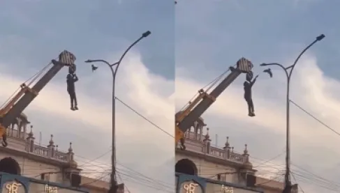 فيديو مؤثر: عامل يخاطر بحياته لإنقاذ طائر علق بين أسلاك الكهرباء