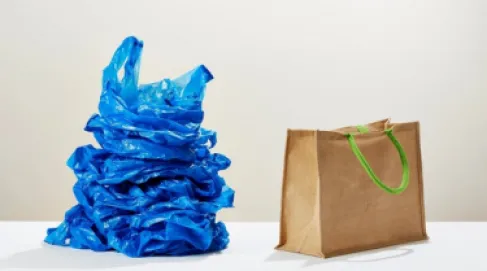 نائب يثمن توجه الحكومة الأردنية لاستبدال الأكياس البلاستيكية بالقماشية