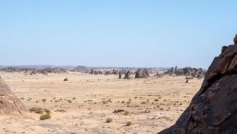 اكتشاف أحافير نادرة في السعودية تعود إلى 465 مليون سنة