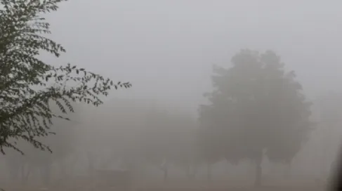 سلطة وادي الأردن تفعّل خطة الطوارئ