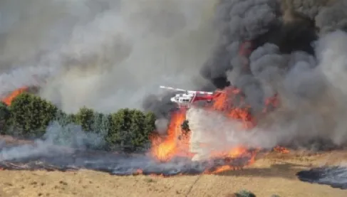 حرائق الغابات تدمر منازل عشرات الآلاف في أستراليا