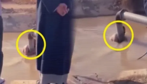 Heartbreaking scene brings millions to tears... Iraqi man refuses to leave river searching for his drowned children