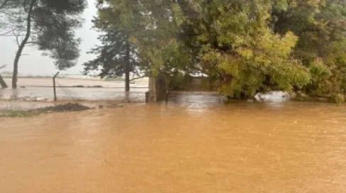 مديرية الأمن العام تدعو إلى تجنّب القيادة عبر مياه الأمطار المتجمعة