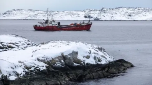 في مرمى ترمب.. كنوز غرينلاند التي لم تستغلها أوروبا