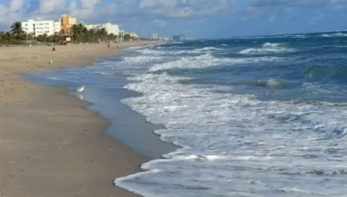 بعد 20 عاماً.. هيكل عظمي جرفته الأمواج يحل لغز اختفاء مسؤول أمريكي