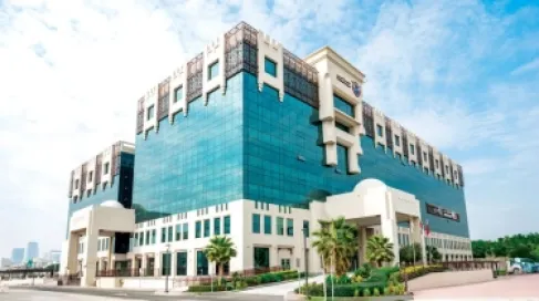 سائق غير ملتزم وعابر مخمور.. محكمة دبي تدين الداهس والمدهوس