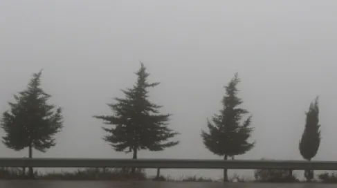 من الدرجة الثانية.. كشف تفاصيل منخفض الأحد على الأردن