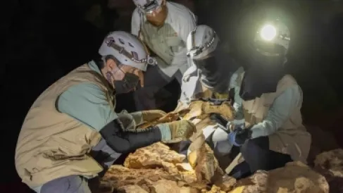 United Conquers City in Manchester Derby in Carrick’s First Match