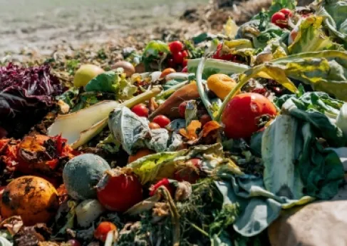 الأغذية العالمي يدعو لسياسات وطنية للحد من هدر الغذاء في الأردن